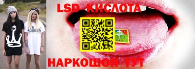 ГАЛЛЮЦИНОГЕННЫЕ ГРИБЫ Бузулук