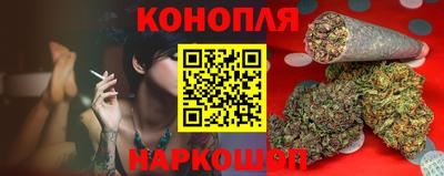 шишки Будённовск