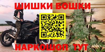 шишки Будённовск