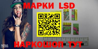 шишки Будённовск