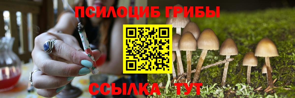 Борисоглебск  Псилоцибиновые грибы GOLDEN TEACHER  наркотики  Вход с VPN 